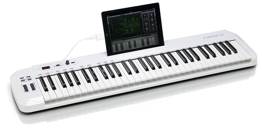 (訳あり特価)SAMSON Carbon61 MIDIキーボード (61鍵) 41tMgX5n2+L._UF894,1000_QL80_.jpg